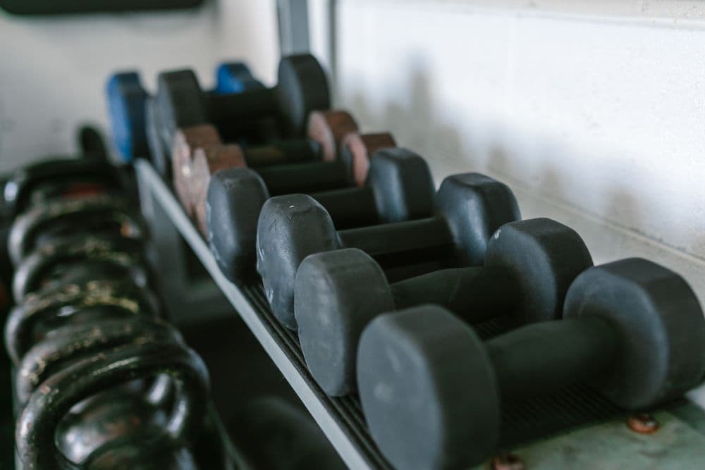 Muscle Gain training at Aarvi Gym
